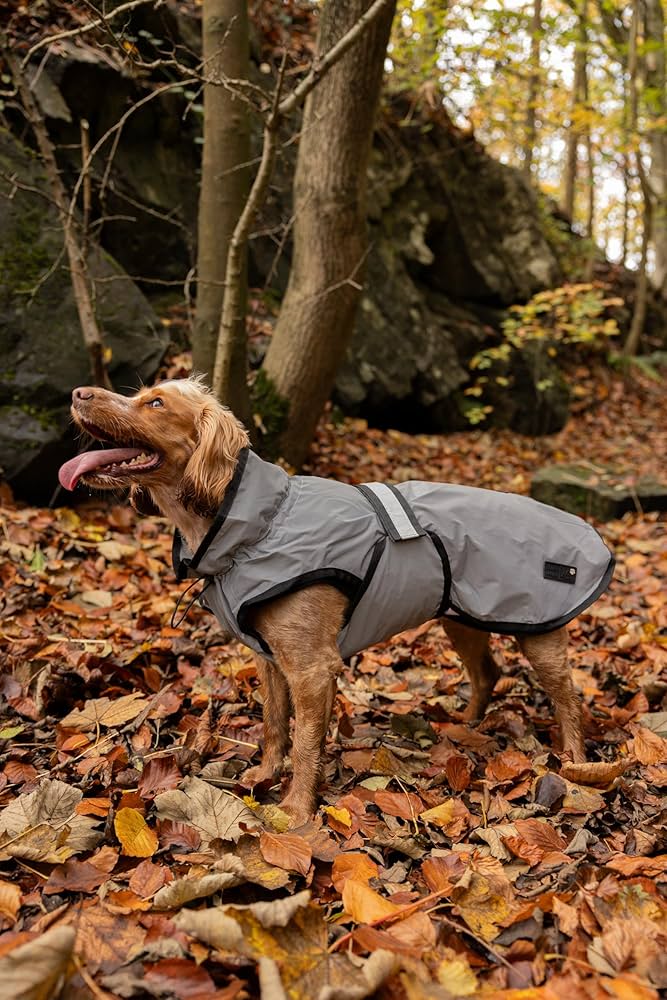 Danish Design 3 in 1 Dog Coat Light Reflective 49cm (19in)