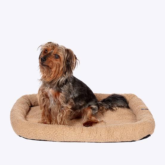 Danish Design Essentials Mattress Beige 91x56cm