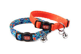 Doodlebone Cat Collar Duo