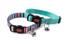 Doodlebone Cat Collar Duo