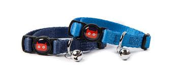 Doodlebone Cat Collar Duo