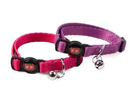 Doodlebone Cat Collar Duo