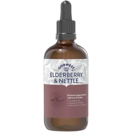 Dorwest Elderberry & Nettle Extract for Dogs and Cats - 100ml