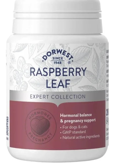 Dorwest Raspberry Leaf Tablets 200