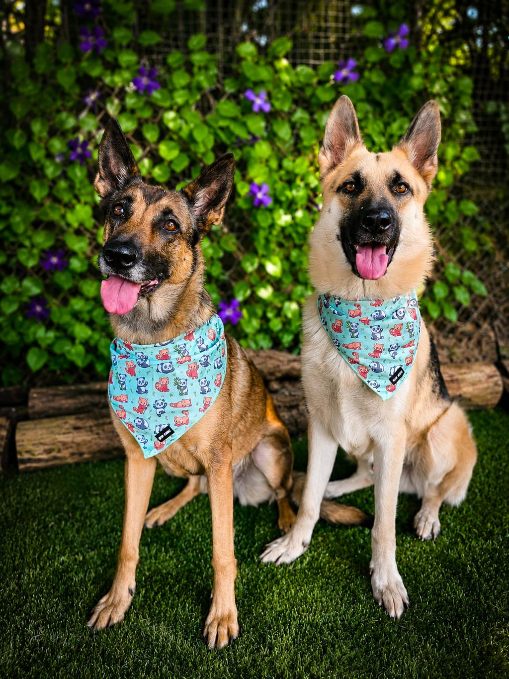 Panda Paradise Cooling Bandana