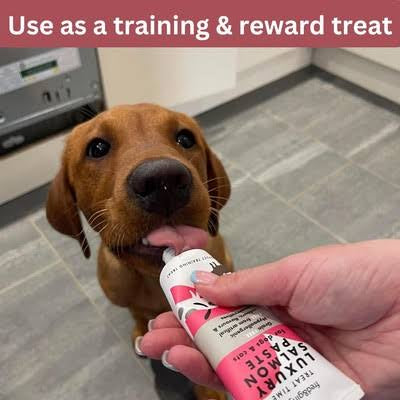 Fred & Ginger Luxury Salmon Paste For Cats and Dogs
