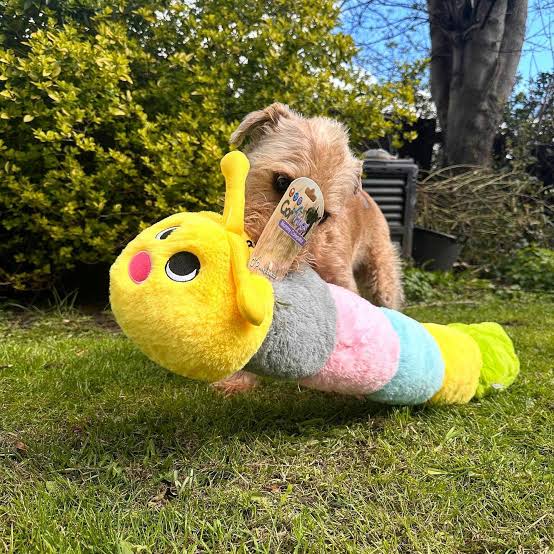 Gor Pets Hugs Mommy Caterpillar (89cm)