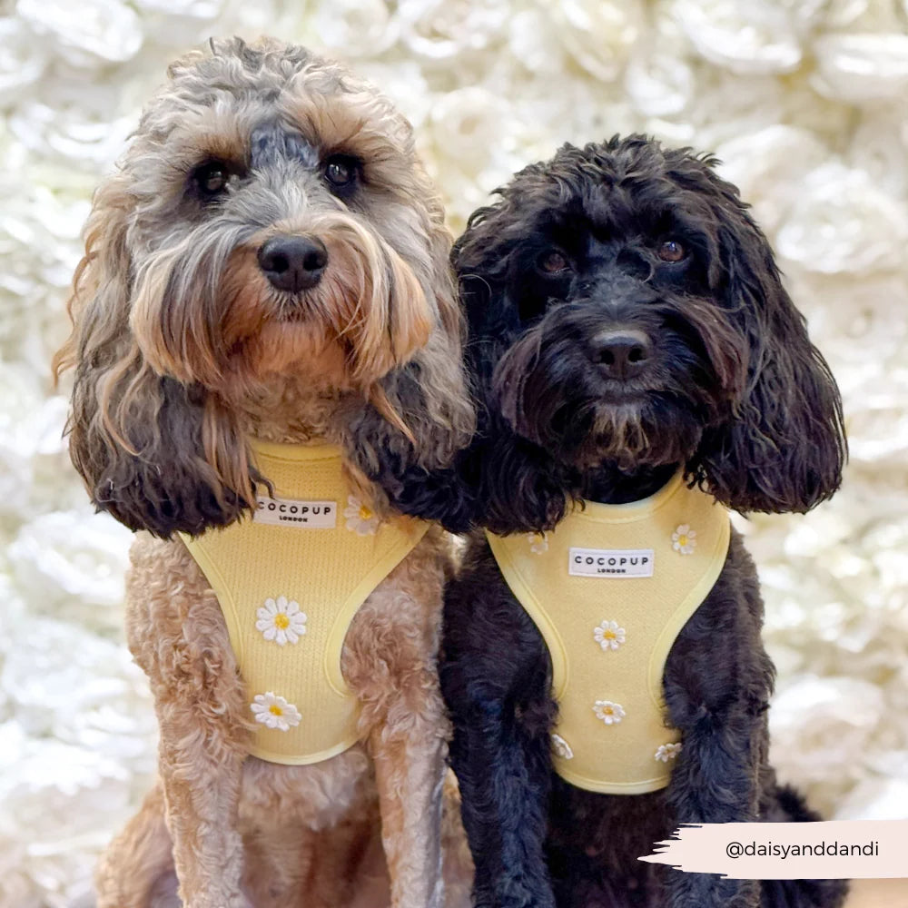 Cocopup Buttercup Pup Adjustable Neck Harness