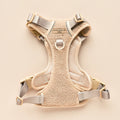 Cocopup Explore Harness - Teddy Rupert