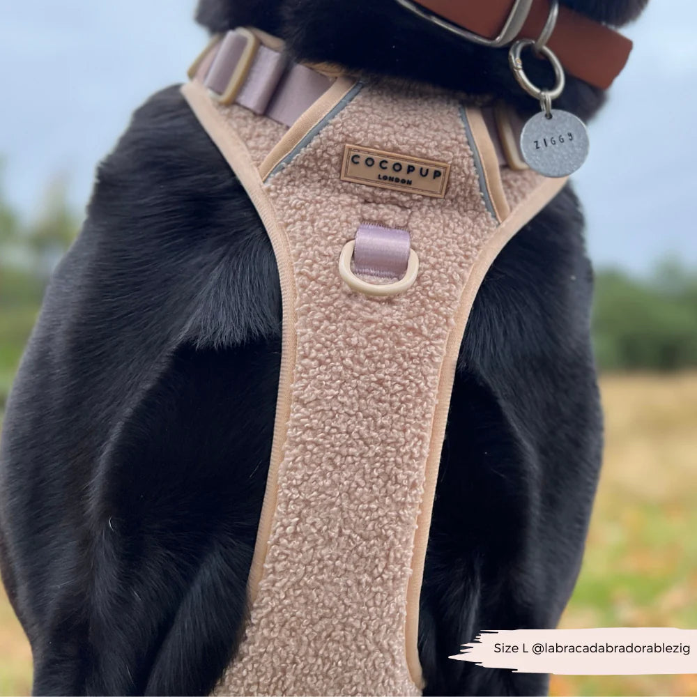 Cocopup Explore Harness - Teddy Rupert