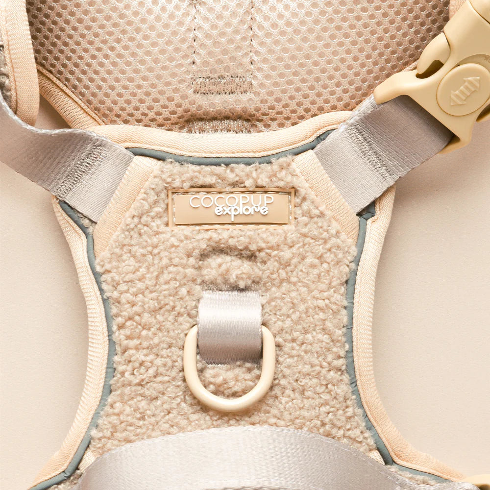 Cocopup Explore Harness - Teddy Rupert