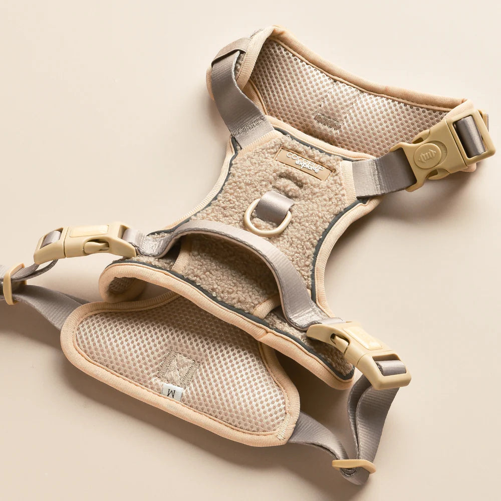 Cocopup Explore Harness - Teddy Rupert