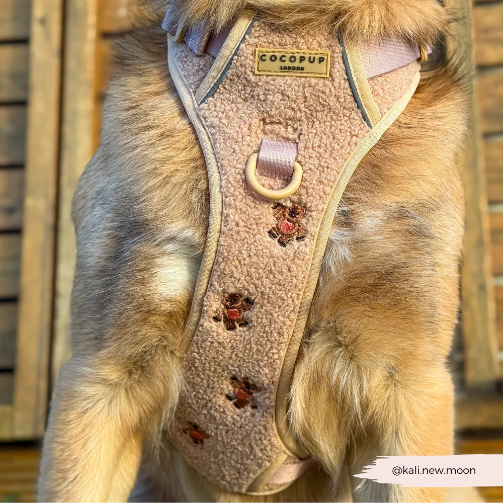 Cocopup Explore Harness - Theo Embroidered Teddy