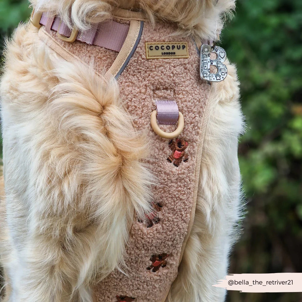 Cocopup Explore Harness - Theo Embroidered Teddy