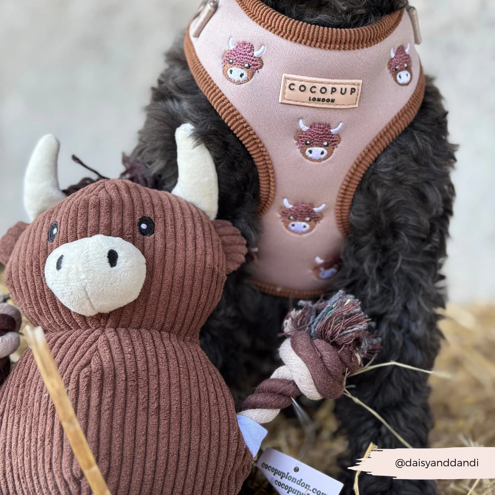 Cocopup Harold the Highland Cow Adjustable Neck Harness