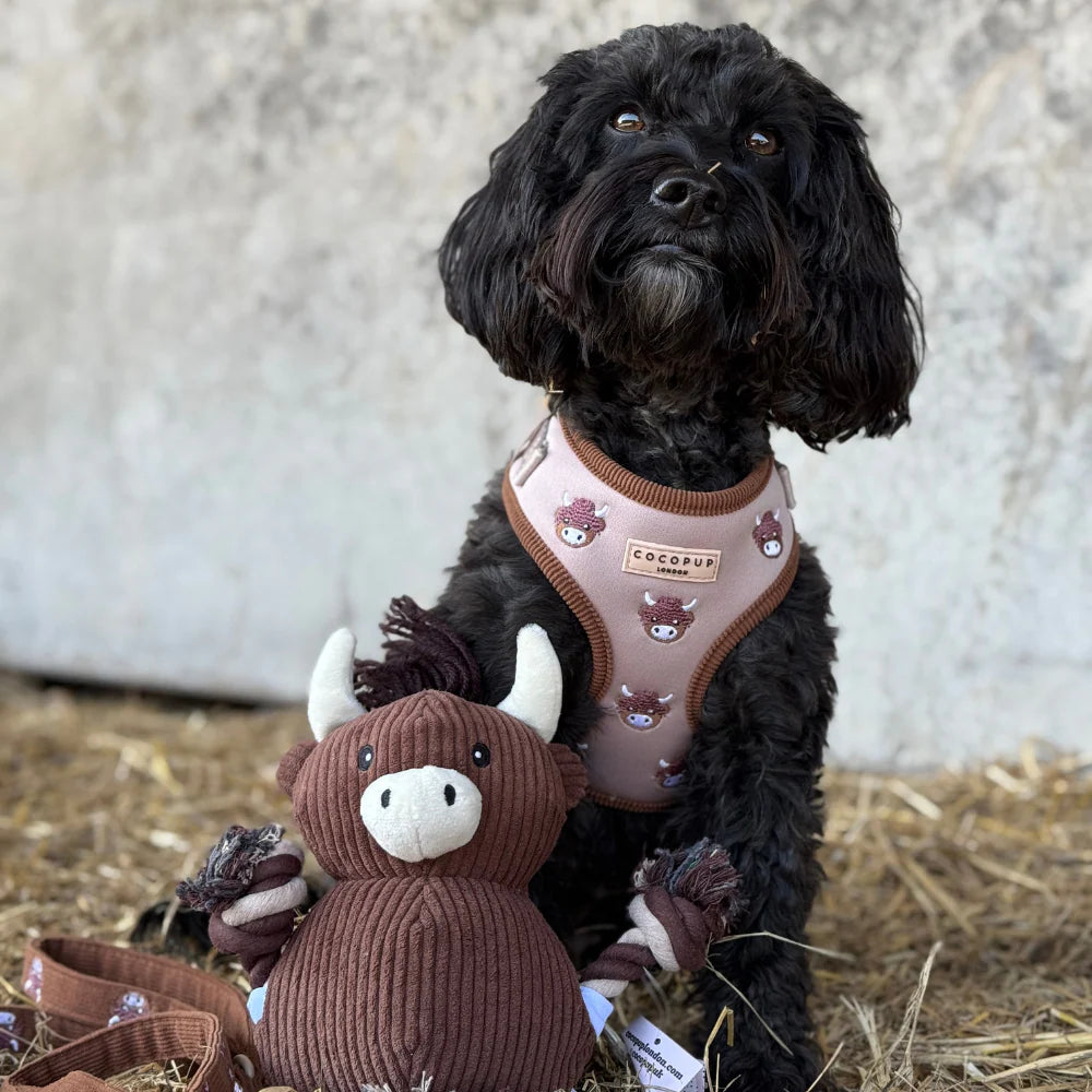 Cocopup Harold the Highland Cow Adjustable Neck Harness