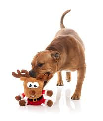 Reindeer - FuzzYard Life Toy - Christmas - Dog
Toy