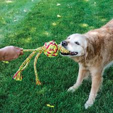 KONG Wubba Weaves w/Rope Assorted Large
