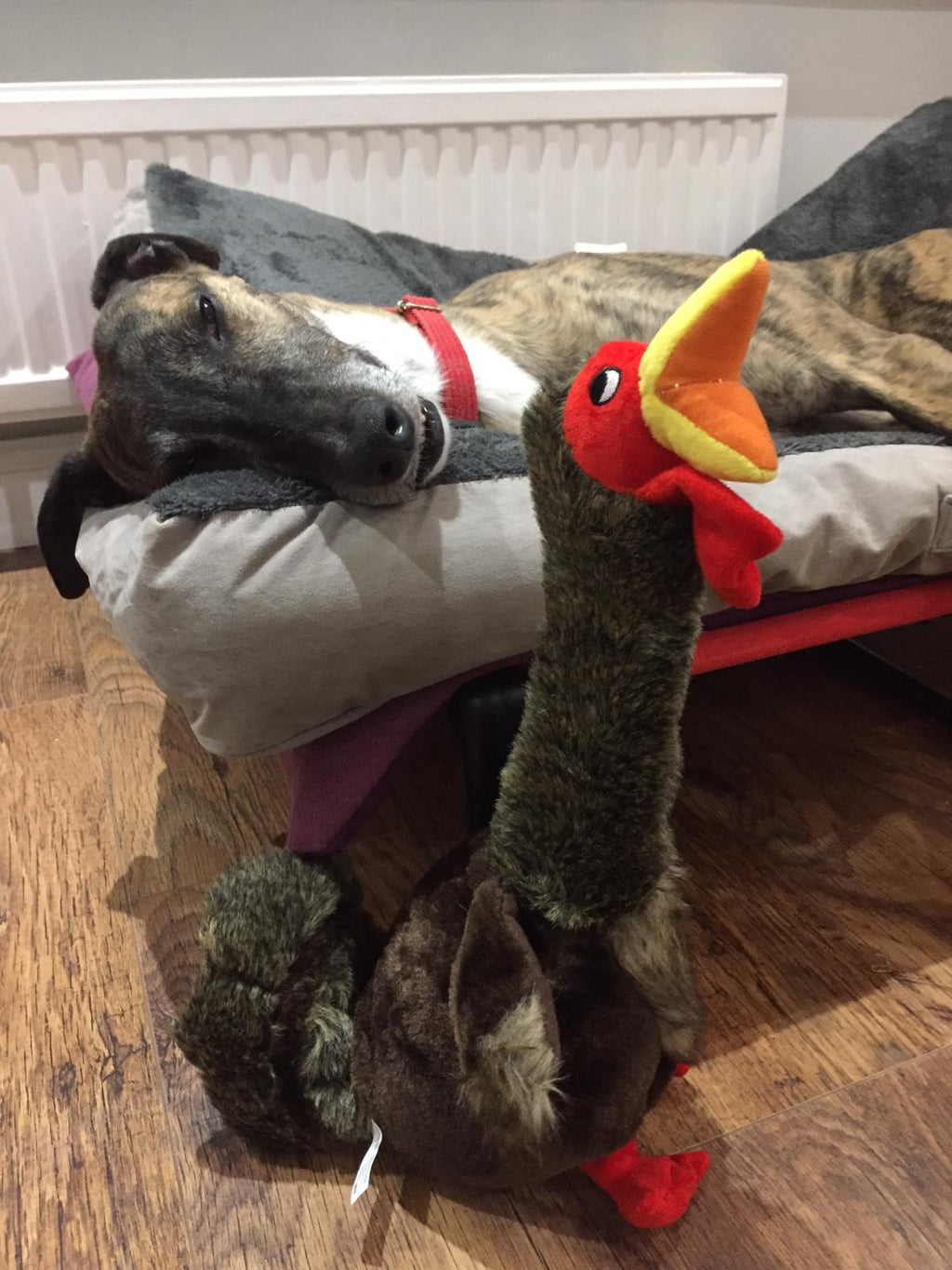 KONG Shakers Honkers Turkey Large