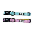 Pup Chic Sprinkles Collar