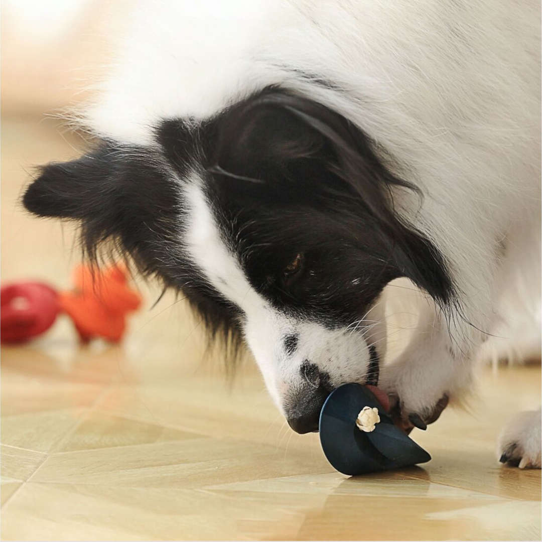 Pet Dream House Chewtastic Geometrics Natural Small Geo-Duo Black