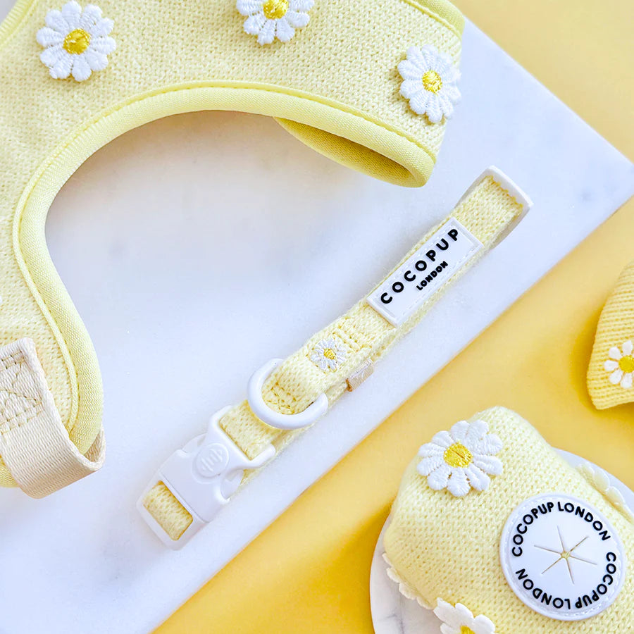 Cocopup Buttercup Pup Collar
