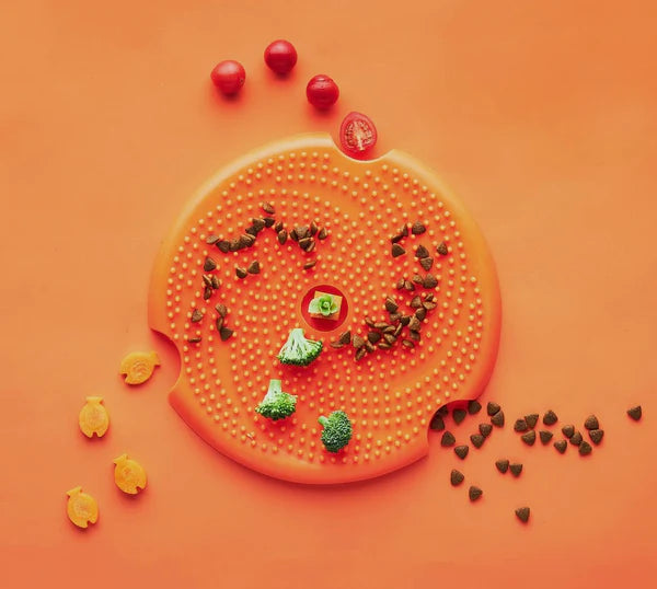 Pet Dream House Spin Accessories Medium Lick Flying Disc Orange