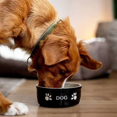 Nobby Dog Ceramic Bowl Black 460ml 6.1in
