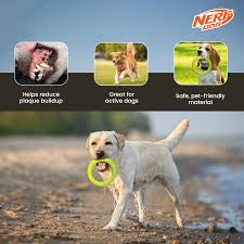 Nerf Dog Dental Tug Ring 9in Green