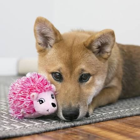 KONG Comfort Hedgehog