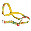SWAG Headcollar Dino