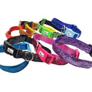 Swag Sparkle Collar Black