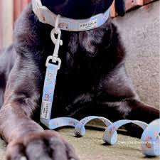 Cocopup Barnyard Buddies Collar