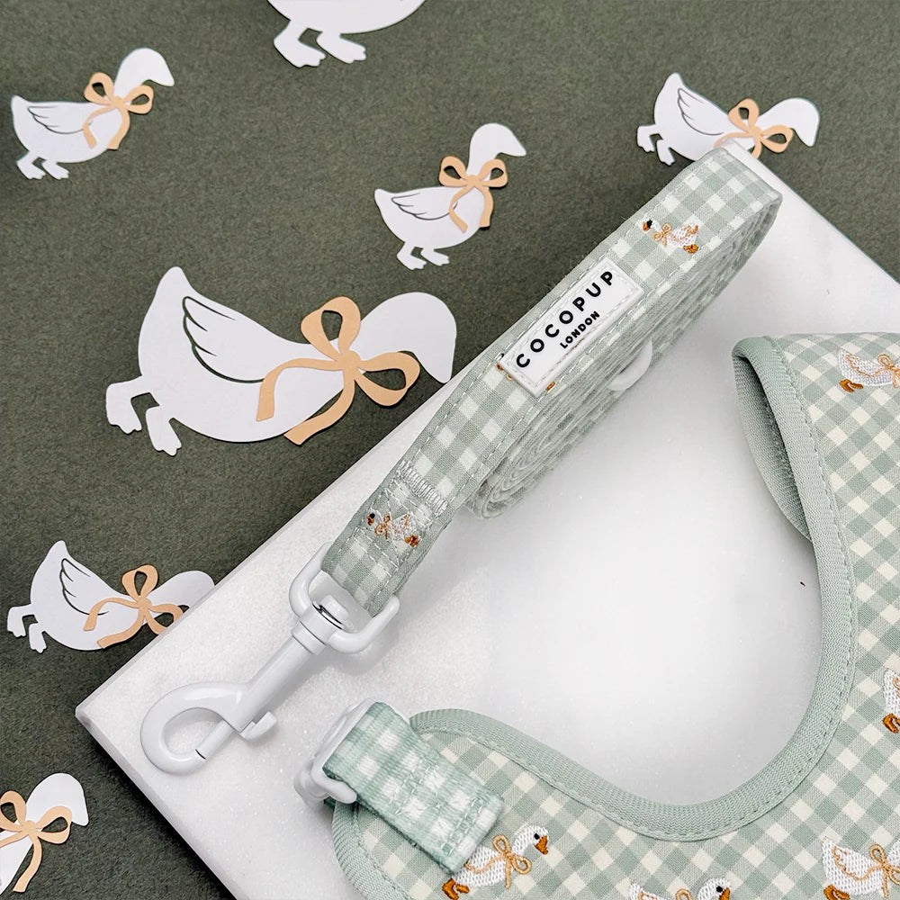 Cocopup Silly Goose Lead