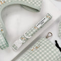 Cocopup Silly Goose Collar