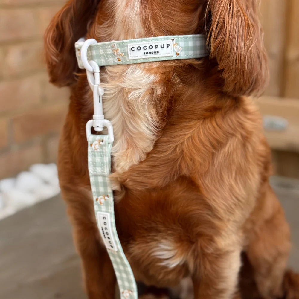 Cocopup Silly Goose Collar
