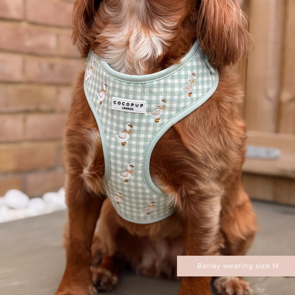 Cocopup Silly Goose Adjustable Harness