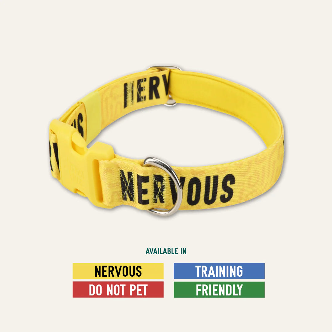 Twiggy Tags Nervous Collar
