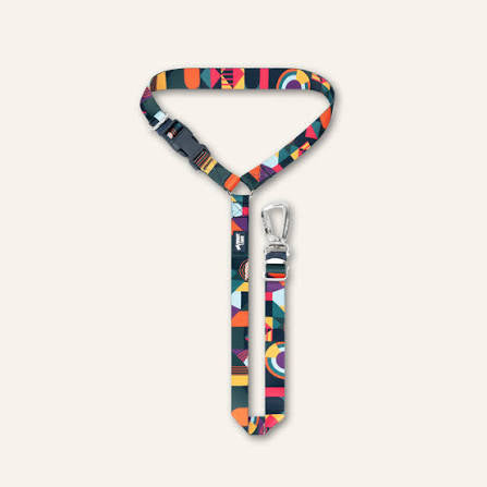 Twiggy Tags headrest seatbelt