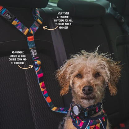Twiggy Tags headrest seatbelt