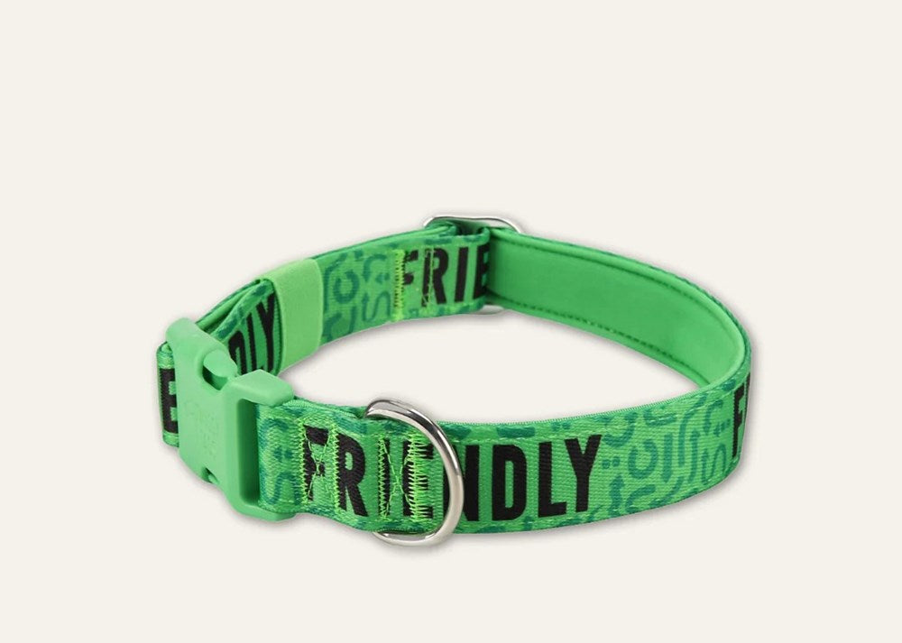 Twiggy Tags Friendly Collar