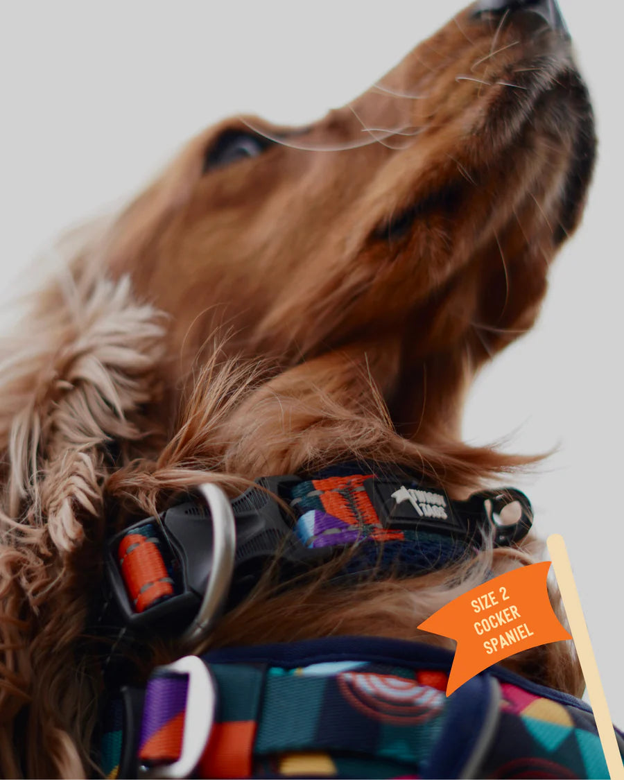Twiggy Tags Adventure Collar