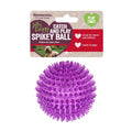 Rosewood Catch and Play Spikey Ball