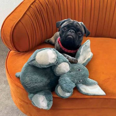 KONG Comfort Kiddos Jumbo Elephant XLarge