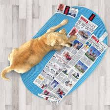 Kong Daily Newspaper Extra Large