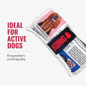 Kong Daily Newspaper Extra Large