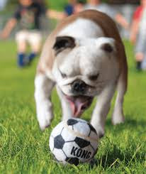 KONG Sport Footballs Large 2 Pack