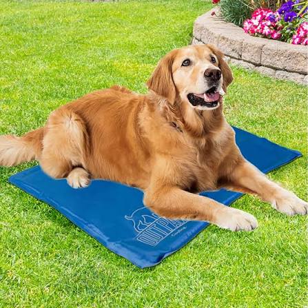 PetBrands Pet Cooling Mat Large 60x90x2cm