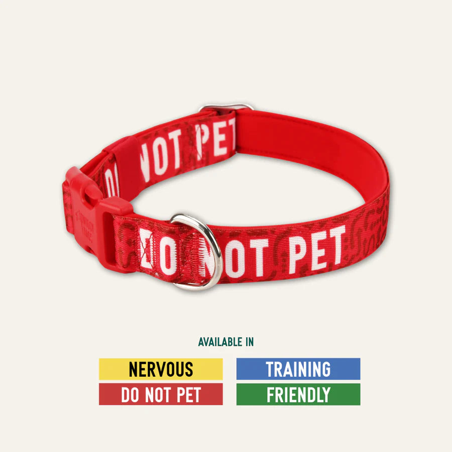 Twiggy tags awareness collar (do not pet)