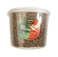 Extra Select Dried Mealworms 500ml